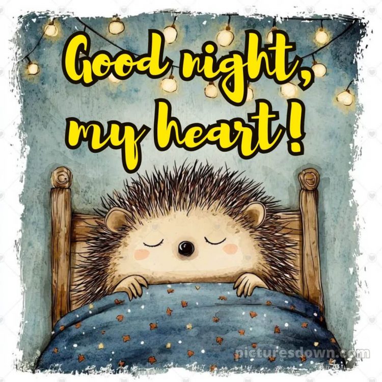 Good night love wishes picture 5 free download