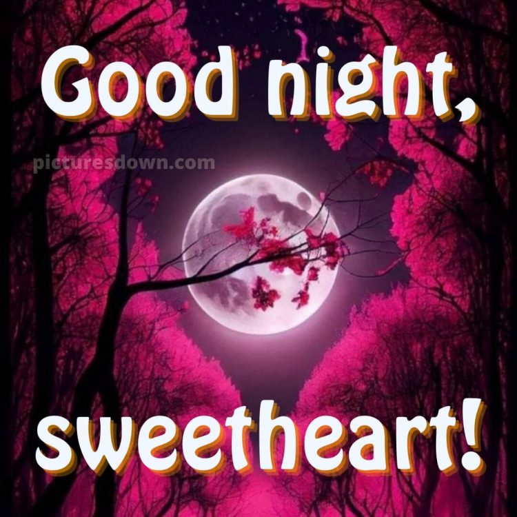 Good night love wishes picture 6 free download
