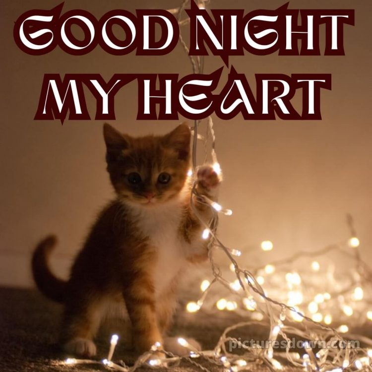 Love good night quotes picture 14 free download