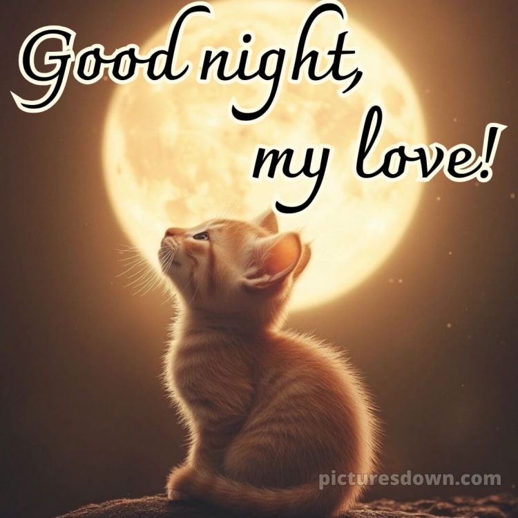 Love good night quotes picture 7 free download