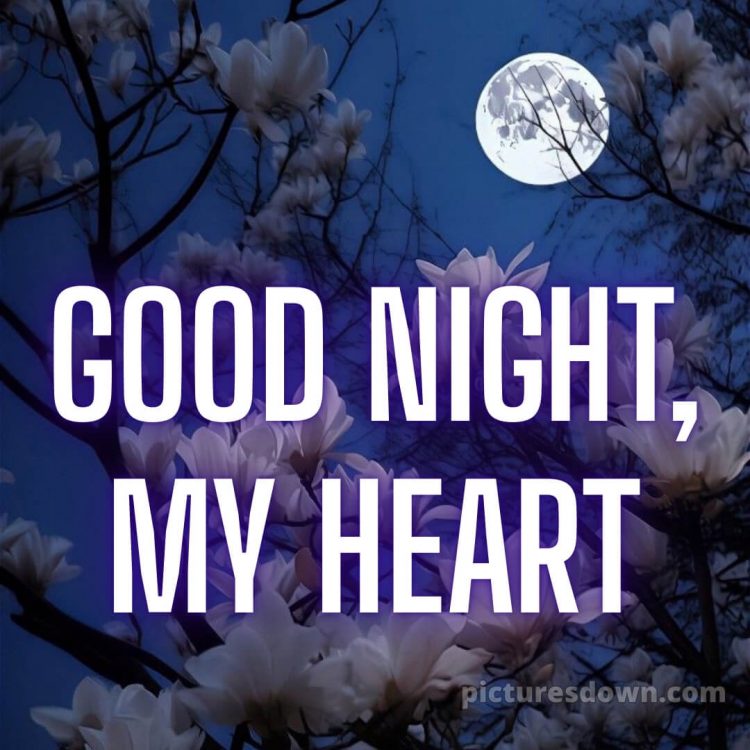 Love good night quotes picture 9 free download
