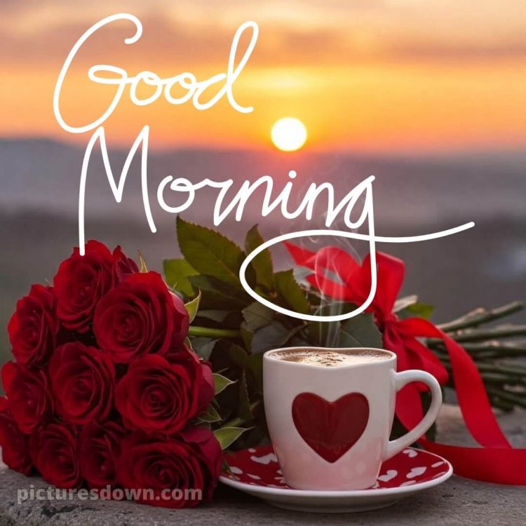 Love romantic good morning rose picture 12 free download