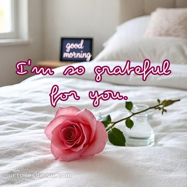 Love romantic good morning rose picture 13 free download
