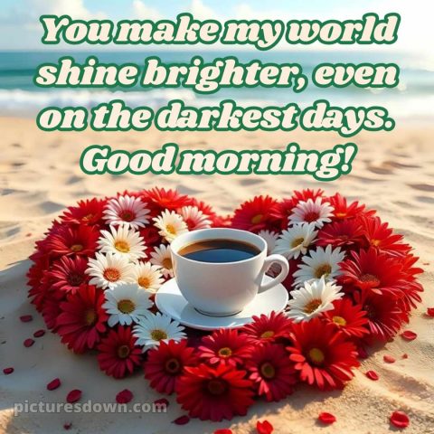 Love romantic good morning rose picture 14 free download