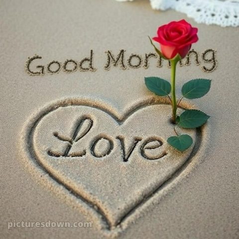 Love romantic good morning rose picture 5 free download