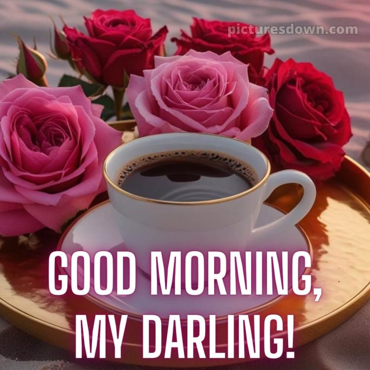 Love romantic good morning rose picture 6 free download