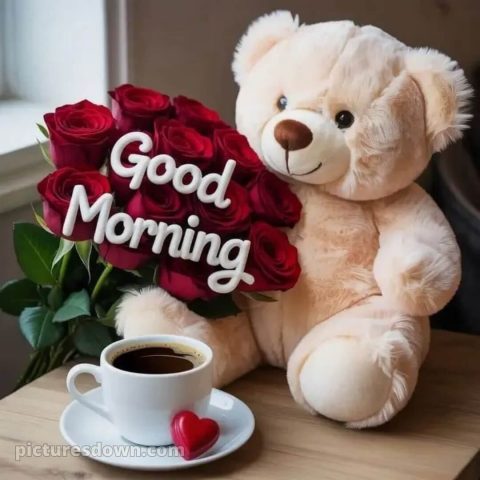 Love romantic good morning rose picture 7 free download