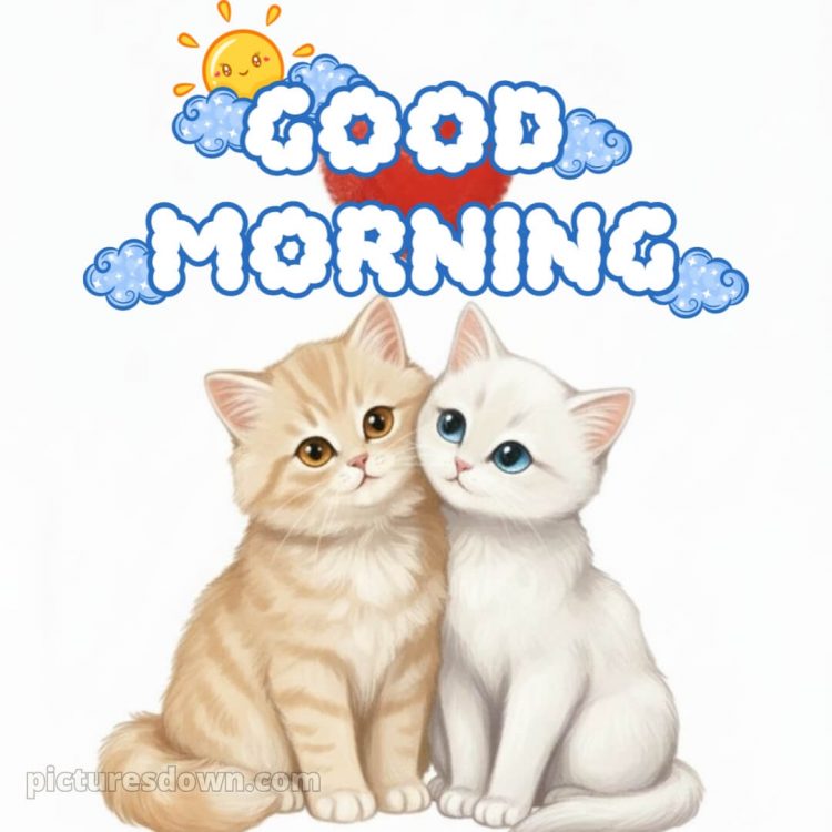 Romantic good morning picture 13 free download