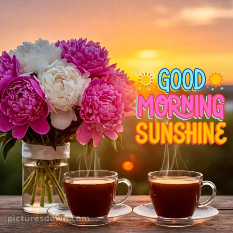 Romantic good morning picture 5 free download