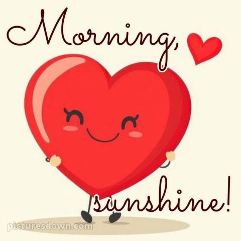 Romantic good morning images picture 14 free download