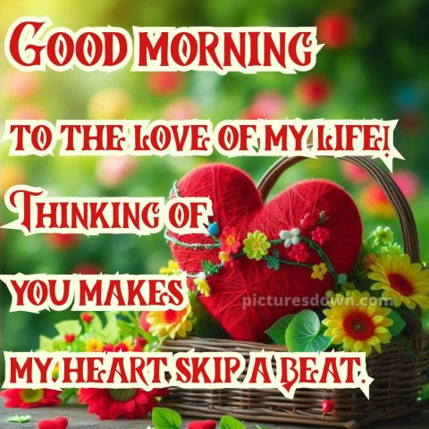 Romantic good morning images picture 6 free download