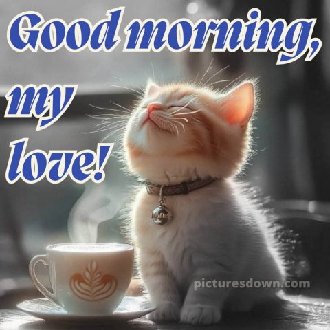 Romantic good morning love images picture 14 free download