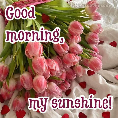 Romantic good morning message picture 15 free download