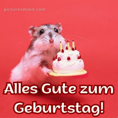 Alles gute zum geburtstag bilder kostenlos bild 3 kostenlos
