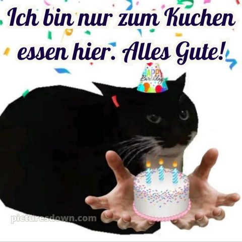 Alles gute zum geburtstag bilder lustig bild 1 kostenlos
