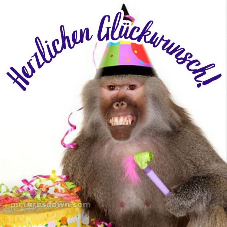 Alles gute zum geburtstag bilder lustig bild 10 kostenlos