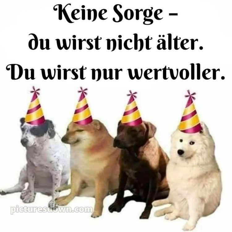 Alles gute zum geburtstag bilder lustig bild 12 kostenlos
