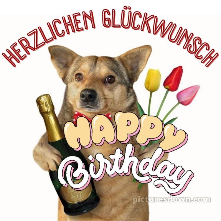 Alles gute zum geburtstag bilder lustig bild 15 kostenlos
