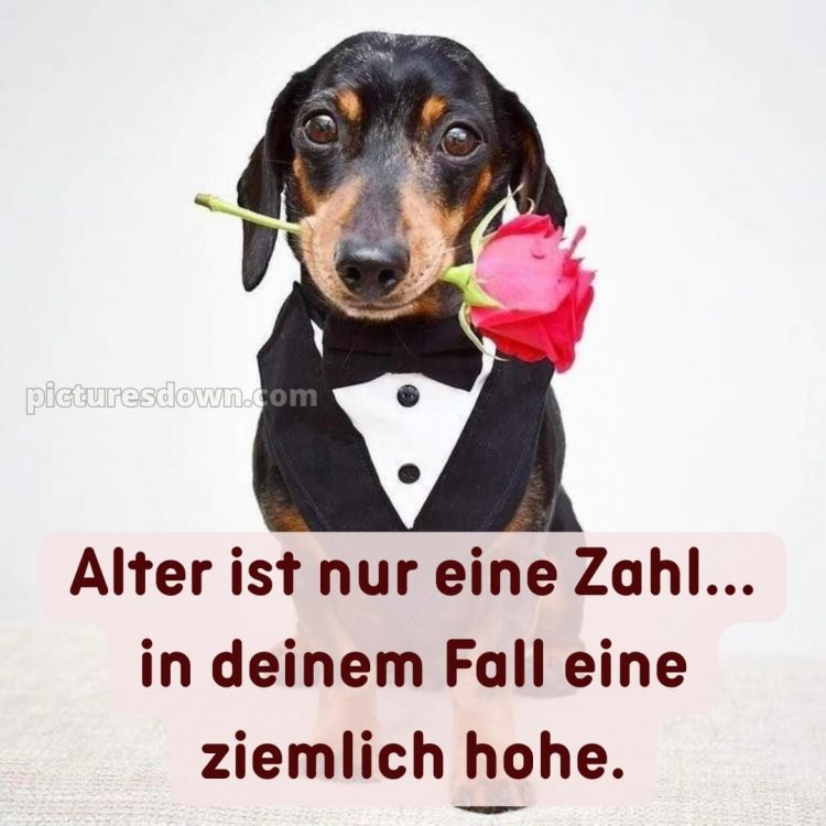 Alles gute zum geburtstag bilder lustig bild 5 kostenlos