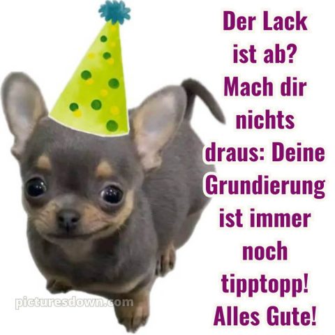 Alles gute zum geburtstag bilder lustig bild 8 kostenlos