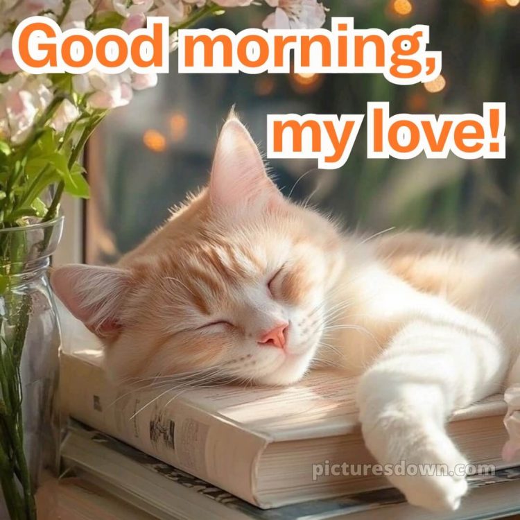 Good morning images romantic picture 7 free download