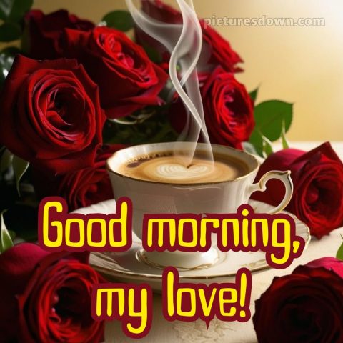 Good morning romantic rose picture 13 free download