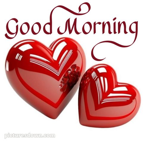 Good morning romantic rose picture 2 free download