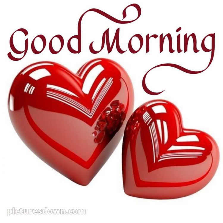 Good morning romantic rose picture 2 free download