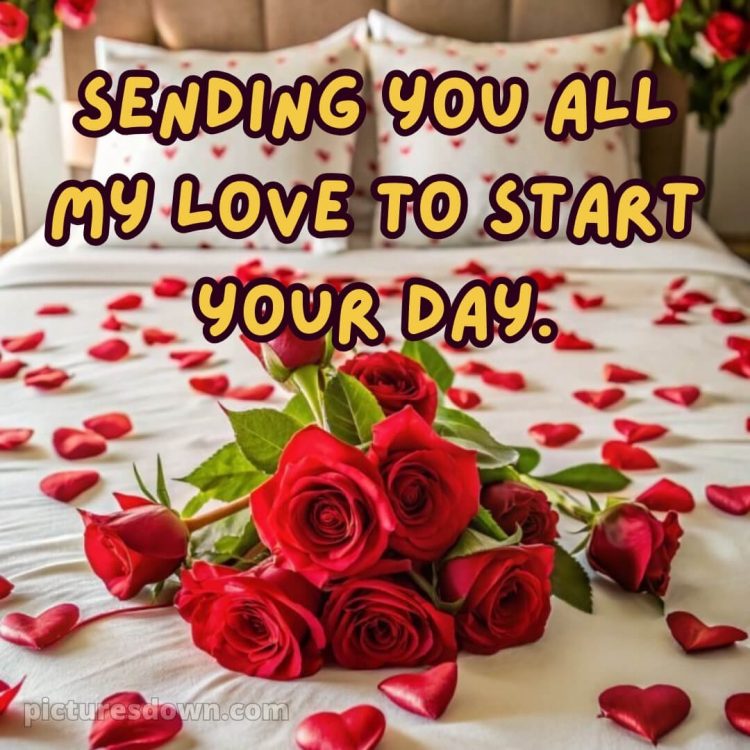 Good morning romantic rose picture 6 free download