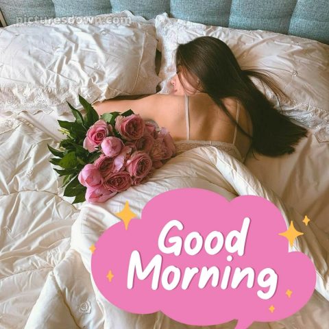 Good morning romantic rose picture 7 free download