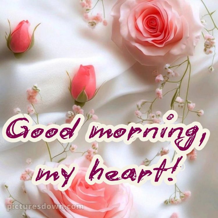 Good morning romantic roses picture 11 free download