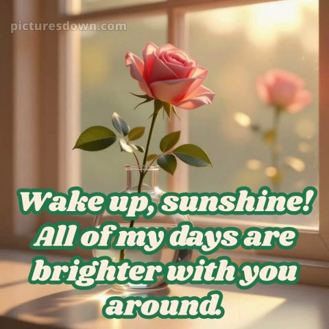 Good morning romantic roses picture 13 free download