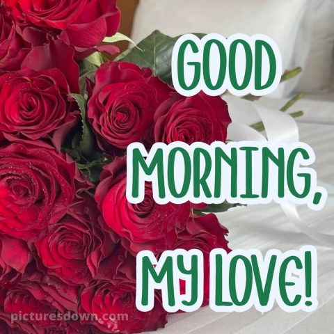 Good morning romantic roses picture 14 free download
