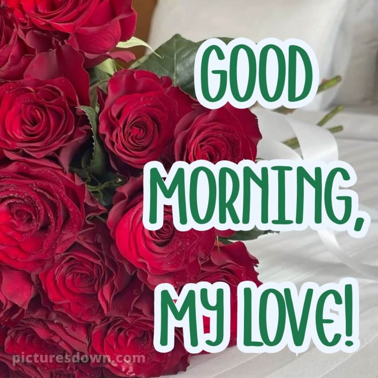 Good morning romantic roses picture 14 free download