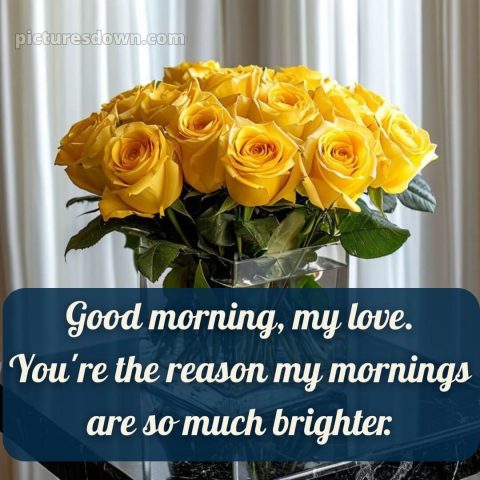 Good morning romantic roses picture 7 free download