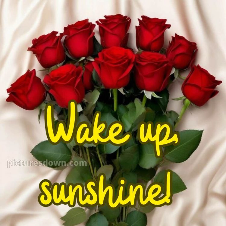 Good morning romantic roses picture 9 free download