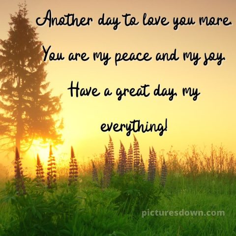 Love husband romantic good morning picture 13 free download