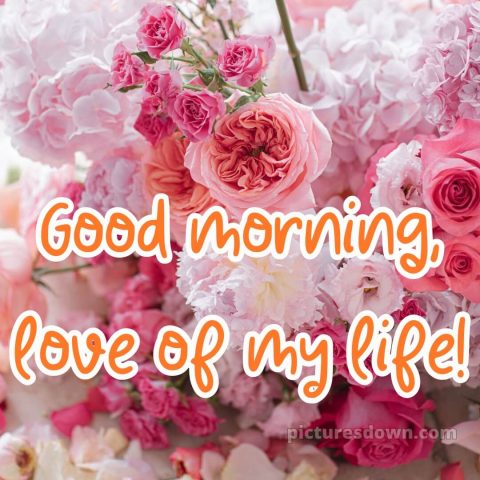 Love romantic good morning flowers picture 1 free download
