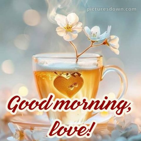 Love romantic good morning flowers picture 10 free download