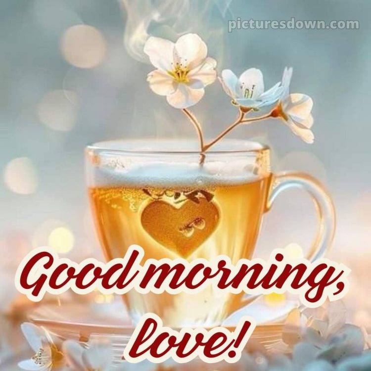 Love romantic good morning flowers picture 10 free download