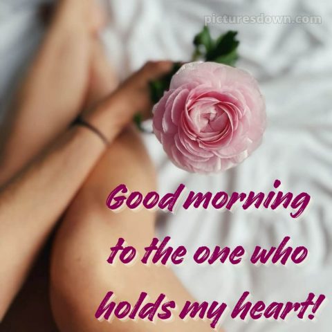 Love romantic good morning flowers picture 14 free download