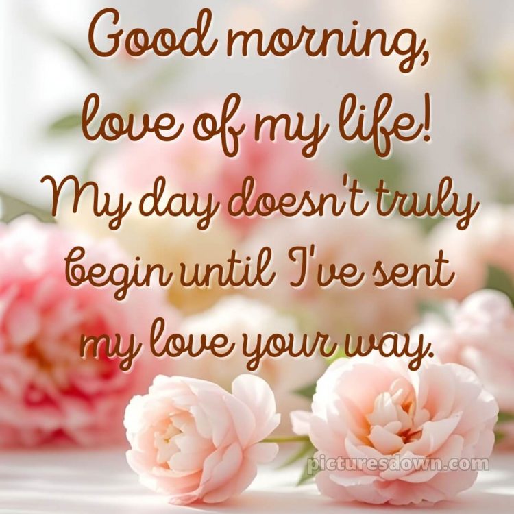 Love romantic good morning flowers picture 7 free download