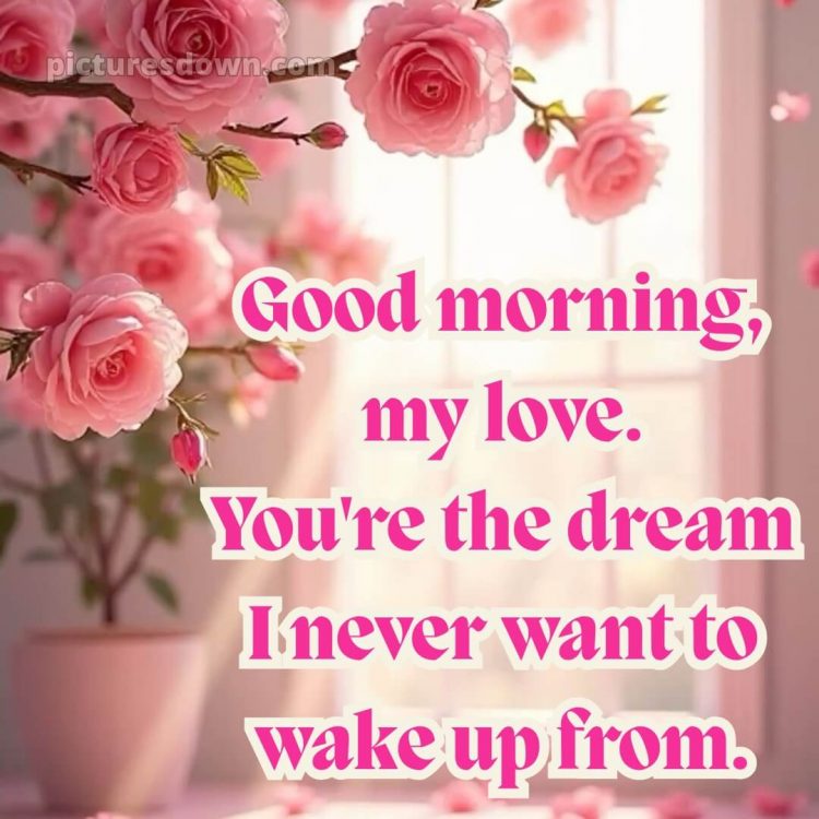 Love romantic good morning flowers picture 9 free download