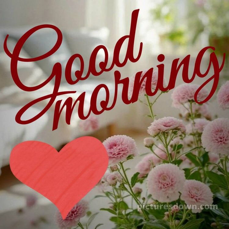 Love romantic good morning status picture 11 free download