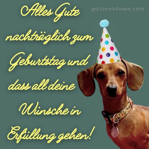 Nachträglich alles gute zum geburtstag bilder kostenlos bild 13 kostenlos