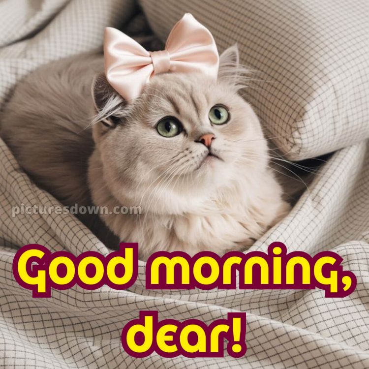 Romantic good morning dear picture 13 free download