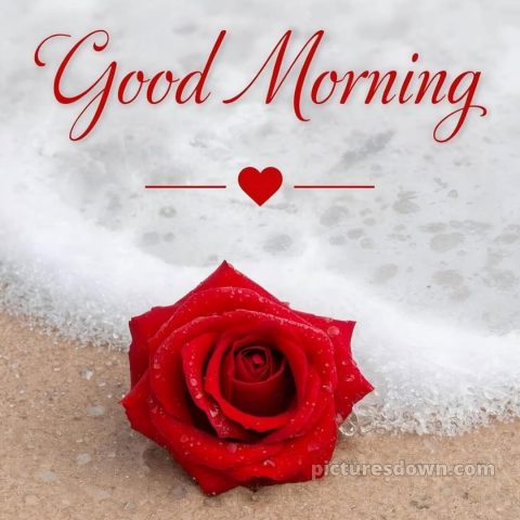 Romantic good morning dear picture 3 free download