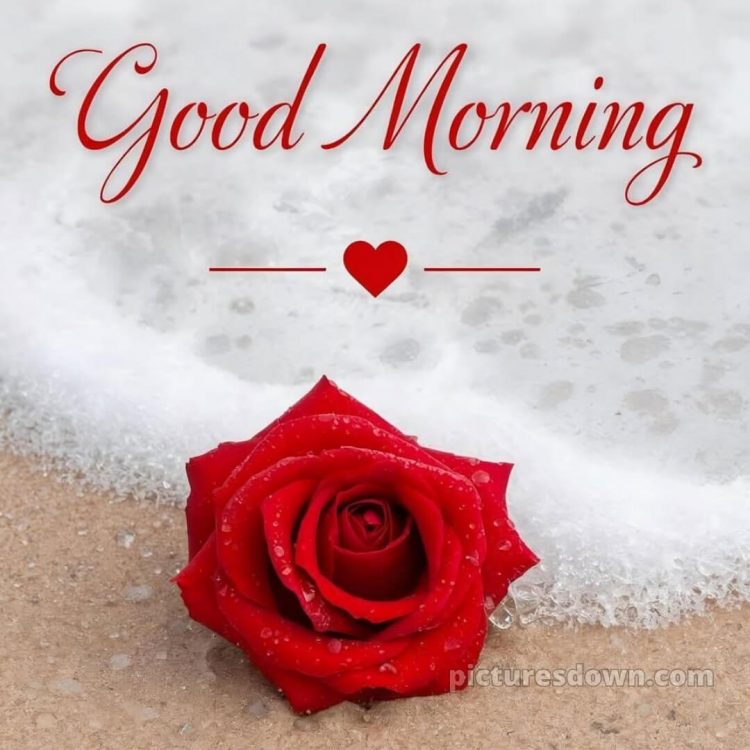 Romantic good morning dear picture 3 free download