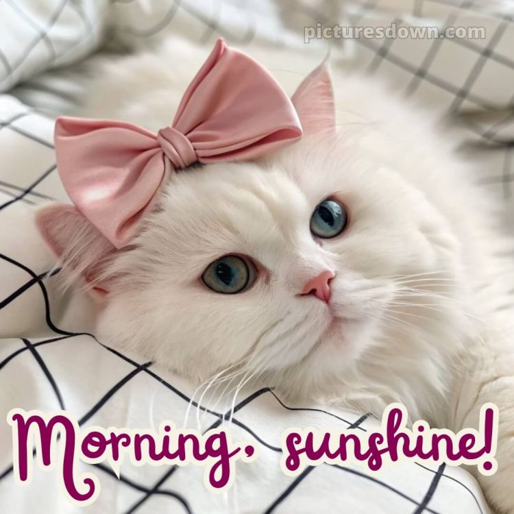 Romantic good morning images for girlfriend picture 8 free download