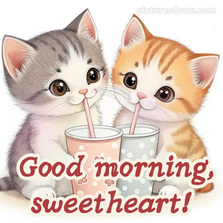 Romantic good morning love picture 16 free download